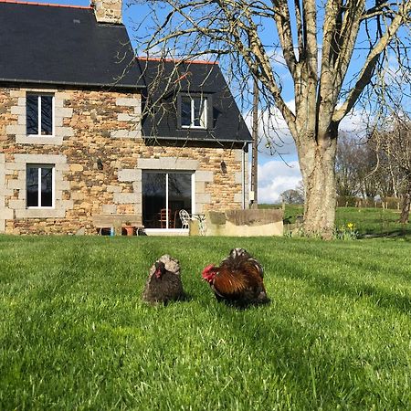 Maison Chic Proche Du Mont Saint Michel Marcilly  Экстерьер фото